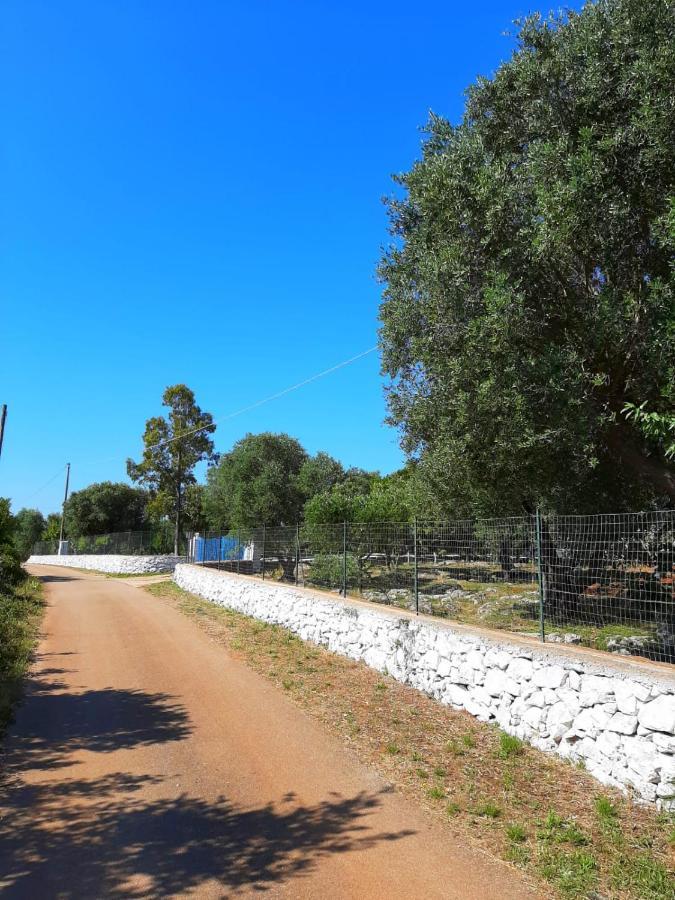 Vila Trullo Fellone Ceglie Messapica Exteriér fotografie
